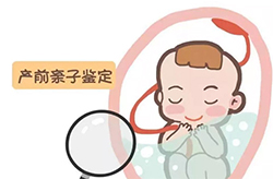 晋城孕期亲子鉴定机构出结果要多久免费咨询