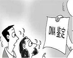 晋城正规的亲子鉴定服务机构在哪有，晋城正规的DNA鉴定机构大概收费